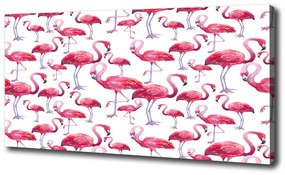 Vászonkép Flamingók oc-116196746