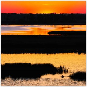 Poszterek 100x100 Naplemente tó