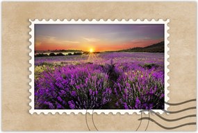 Poszterek 90x60 Levendulamező Nyugat