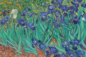 Plakát Vincent van Gogh - Les Irises