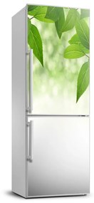 Matrica hűtőre Zöld levelek FridgeStick-70x190-f-51811576