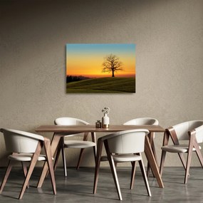 Egy fa képe a mezőn (üvegen) (70x50 cm)