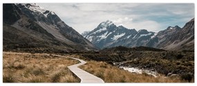 Kép - Sétány a hegységben Mt. Cook (120x50 cm)