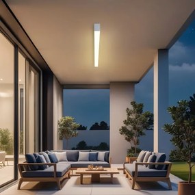 Brilagi - LED fürdőszobai mennyezeti lámpa SLEEKLINE LED/40W/230V ezüstszínű IP44