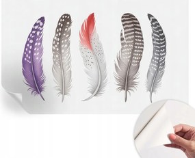 Öntapadós Fali Fotótapéta Hálószobába Mintás tollak 416x254 cm