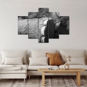 Kép - Elefánt láb (150x105 cm)