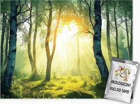 Fotótapéta Erdő 3D Fák Természet Nap Falra Hálószoba Nappali 150x105
