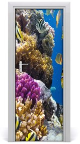 Ajtó méretű poszter korallzátony 75x205 cm