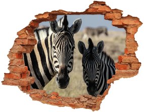 Fali matrica lyuk a falban Két zebrák nd-c-70684470
