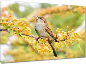 Vászonkép 120x80 Madarak