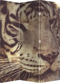 Paraván - Tigris (126x170 cm)