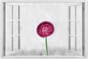 Poszter 60x40 Rózsaszín pitypang virág