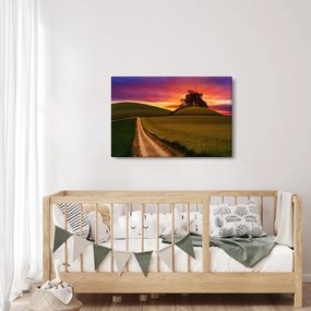 Mezei naplemente képe (90x60 cm)