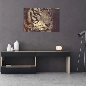 Tigris képe (90x60 cm)
