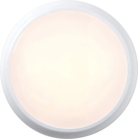 Endon HERO 95540 mennyezeti lámpa 18W 3000K|4000K|6000K IP65