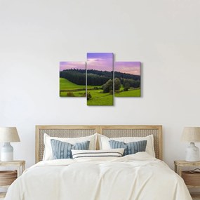 Rét képe (90x60 cm)