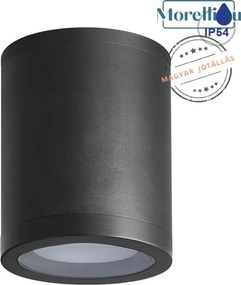 PREZENT 48332 MOPTI Modern Kültéri Mennyezeti Lámpa GU10 IP54