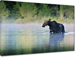 Vászonkép 90x60 Szarvas Állatok