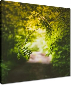 Vászonkép 50x50 Zöld levelek Levelek