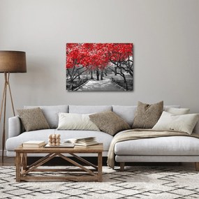 Kép - vörös fák,Central Park, New York (70x50 cm)