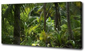 Egyedi vászonkép Trópusi erdő oc-65033935