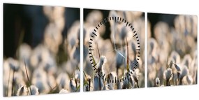 Kép - Keskenylevelű gyapjúsás (órával) (90x30 cm)