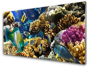 Akrilkép Barrier Reef Nature 100x50 cm 2 fogas