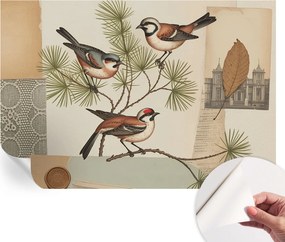 Dekoratív öntapadós fotótapéta Hálószobába Madarak collage 152x104 cm