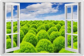 Poszterek 90x60 Zöld tekintet Völgy