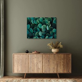 Üveg kép - Opuntia (70x50 cm)