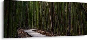 Kép - A bambuszok között (120x50 cm)