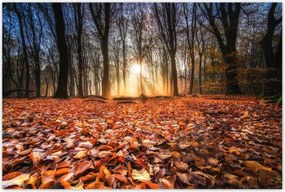 Poszterek 120x80 Őszi kilátás Tájkép