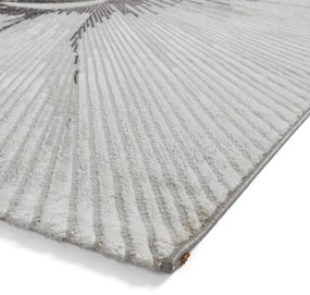 Szürke szőnyeg 120x170 cm Creation – Think Rugs