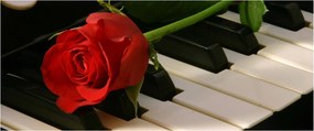 Kép - Zongora és rózsák (120x50 cm)