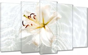 Vászonkép 100x60 Virág a vízen Név