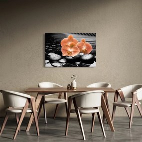 Kép - Narancssárga orchideák (90x60 cm)
