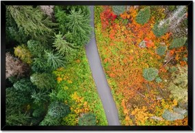 Poszter keretben 60x40 Út Erdő Ősz