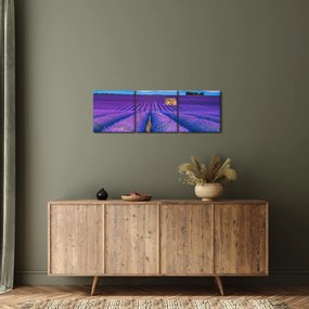 Kép - Levendula mező (órával) (90x30 cm)