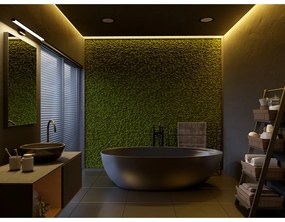 Fekete LED fali lámpa Catania – GTV