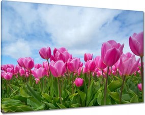 Vászonkép 100x70 Tulipánok Virágok