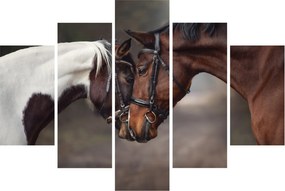 Kép - Szerelmes lovak (150x105 cm)