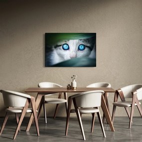 Macska képe (90x60 cm)