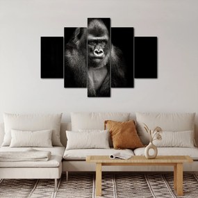 Kép - Gorilla (150x105 cm)