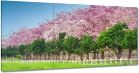 Festmények 180x90 Cseresznye tájkép