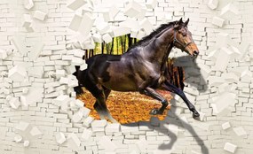 Fotótapéta - A ló kiugrott a falból - 3D (152,5x104 cm)