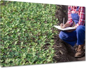 Festmények 100x70 Modern mezőgazdaság