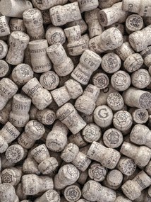 Poszter 30x40cm Pezsgős dugók, Assaf Frank