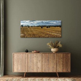 Betakarított gabona mező képe (120x50 cm)