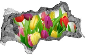 3d fali matrica lyuk a falban Színes tulipán nd-b-12652067