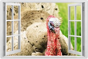 Poszterek 90x60 Pulyka ünnep Usa